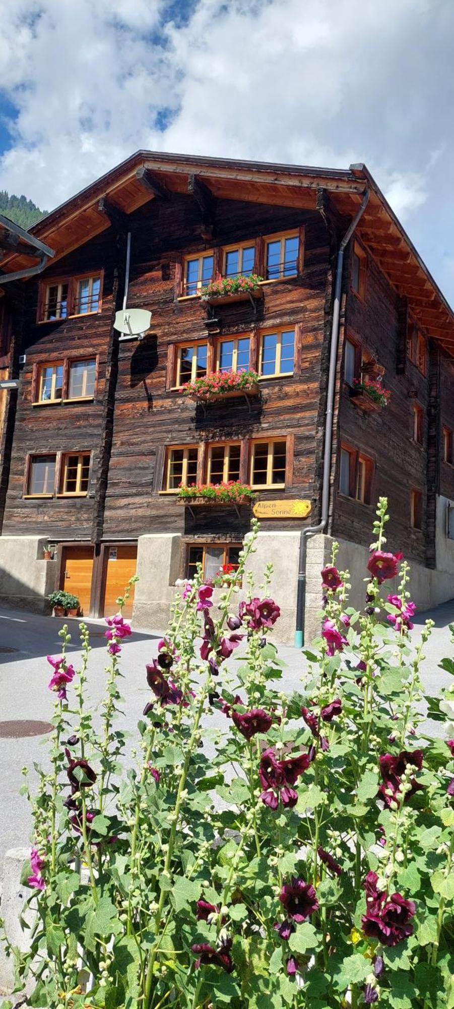 Alpensonne Apartment Reckingen Luaran gambar