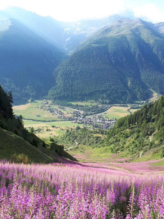 Alpensonne Apartment Reckingen Luaran gambar
