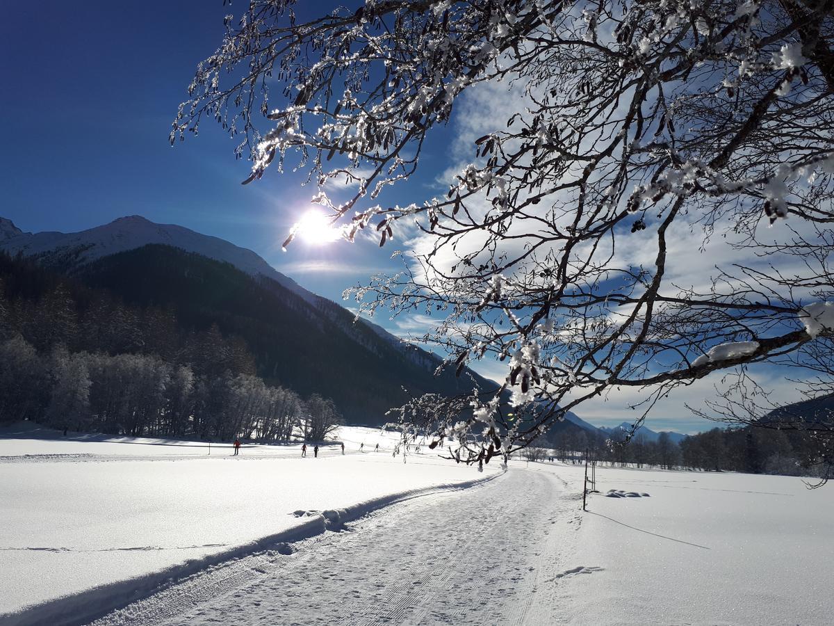 Alpensonne Apartment Reckingen Luaran gambar