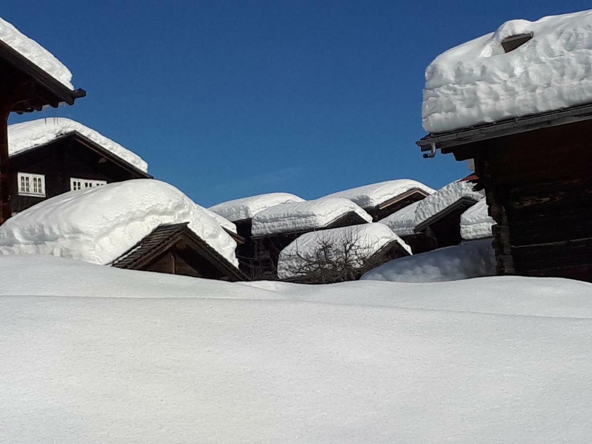 Alpensonne Apartment Reckingen Luaran gambar